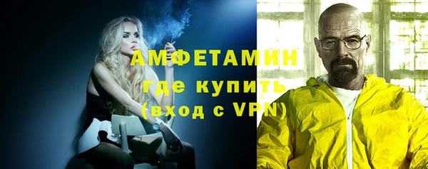 индика Балахна