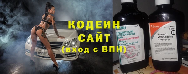 индика Балахна