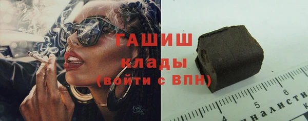индика Балахна