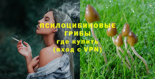 дурь Белоозёрский