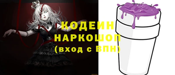 хмурый Белокуриха