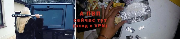 индика Балахна