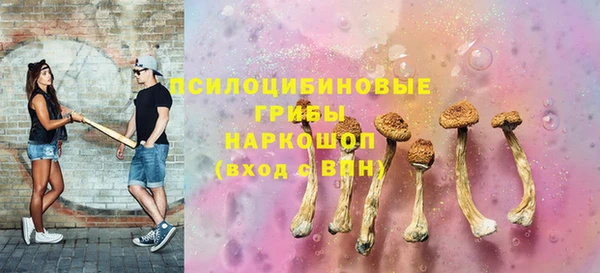 хмурый Белокуриха