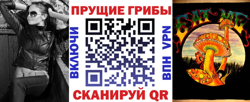 Псилоцибиновые грибы Psilocybine cubensis  Качканар 